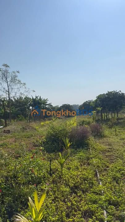 Bán Gấp 22.000m² Đất Đỏ Bazan Tại Đắk Nông - Có Nhà Tiền Chế & Năng Lượng Mặt Trời