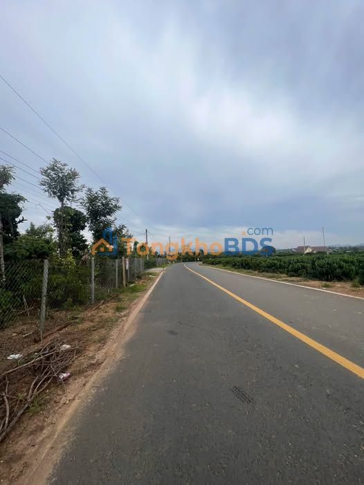 Đất nền 190m² Tân Hội, Đức Trọng - Sổ hồng thổ cư, giá tốt đầu tư