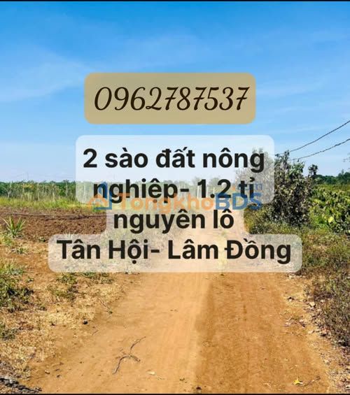 Bán 2 Sào Đất Vườn Tân Hội, Đức Trọng - 1.2 Tỷ, Sẵn Sổ