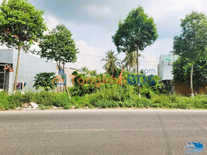 Đất nền An Giang 2.462m² giá 7,3 tỷ - Sổ đỏ chính chủ