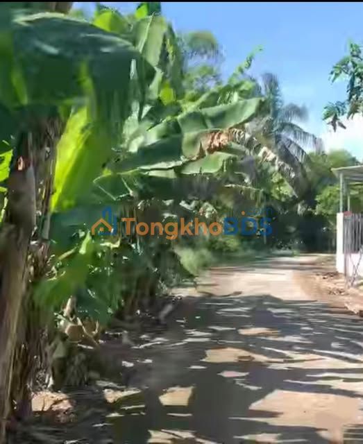 Đất nền Lê Minh Xuân nối dài, Rạch Giá - 186m² thổ cư, 6xx triệu