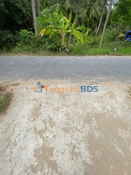 Đất nền Sơn Phú Giồng Trôm 1.000m² 1,1 tỷ – Sổ đỏ