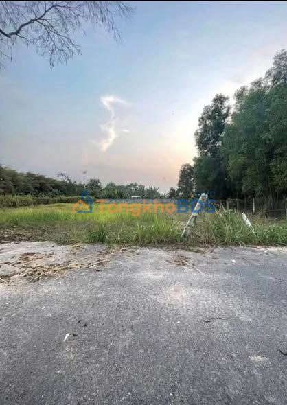 Bán Đất 190m² Phường Phú Thứ, Bến Cát - Sổ Hồng Thổ Cư