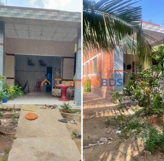 Dat vuon Son Phu Vinh Long 980m2 550 trieu - Sinh thai xanh