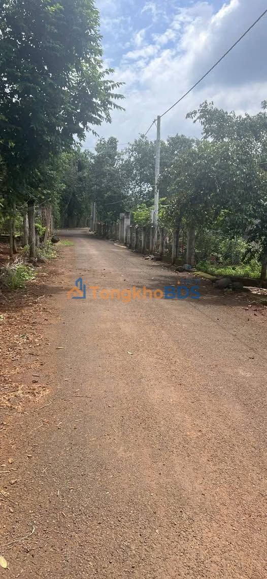 Đất Vàng Xuyên Mộc 7200m² - Sổ Đỏ Sẵn Sàng, Nở Hậu Đón Lộc