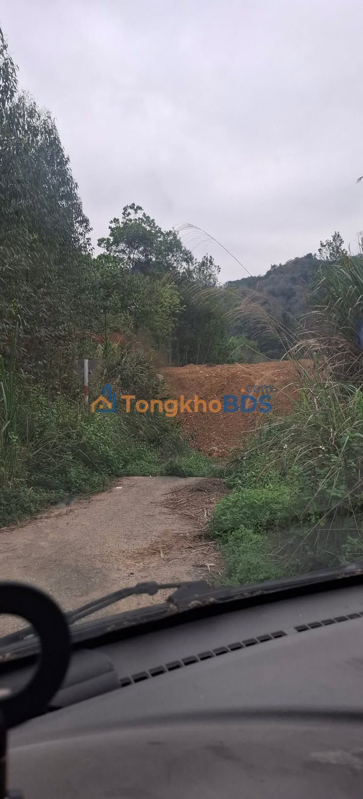 Đất thổ cư mặt tiền 6.5m, 227m² tại Thường Tín, Hà Nội - Sổ đỏ sẵn sàng