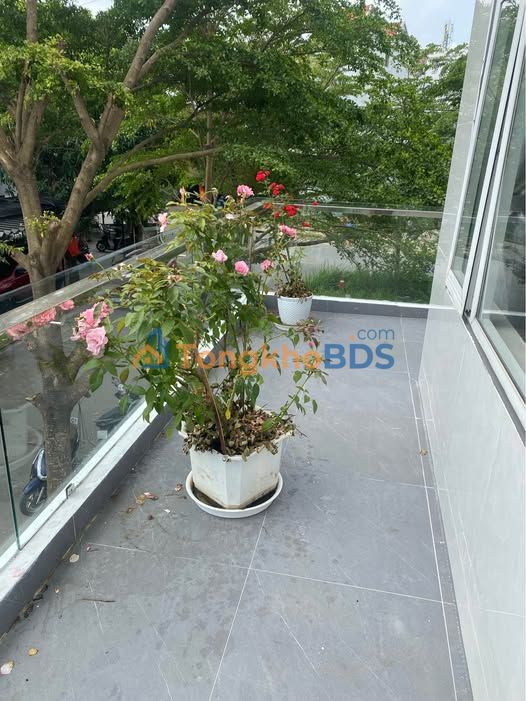 Nhà Mặt Tiền Bàu Mạc, Đà Nẵng - Kinh Doanh Sầm Uất, 90m², 7.2 Tỷ