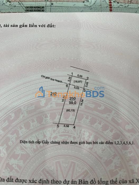 Đất Đông Anh Thôn Đình Trung 99m² 6 tỷ - Sổ đỏ chính chủ