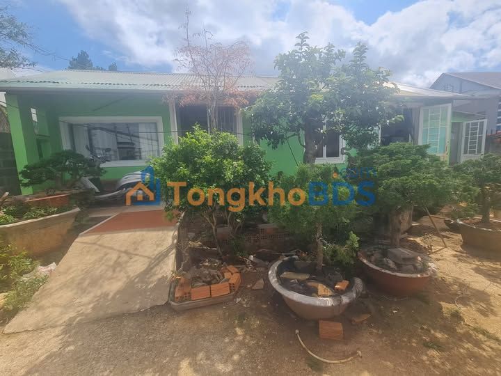 Đất nền Tân Châu Di Linh 720m² thỏa thuận - Đường to ô tô