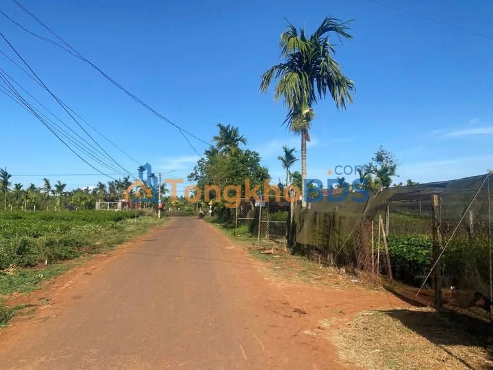 Bán Đất Thổ Cư 60m² Mặt Tiền Hẻm 61 Nguyễn Thái Bình, BMT - Giá 1.97 Tỷ