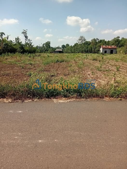 Đất Vàng Châu Đức 4800m² - Sổ Đỏ Riêng, Giá 1.25 Tỷ