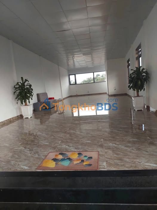 Nhà phố Hai Bà Trưng P.6 Đà Lạt 100m² 12 triệu - Mặt tiền kinh doanh