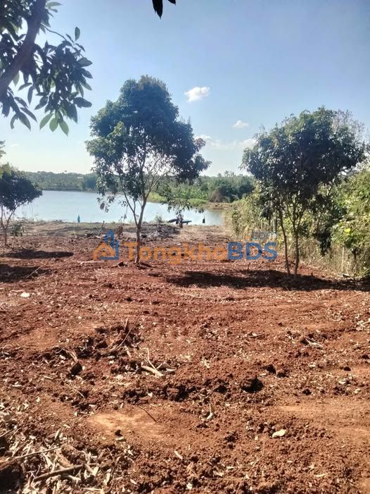 Bán Gấp Đất Vườn Đắk Lắk 4200m² View Hồ Đẹp - Sẵn Sàng Đầu Tư