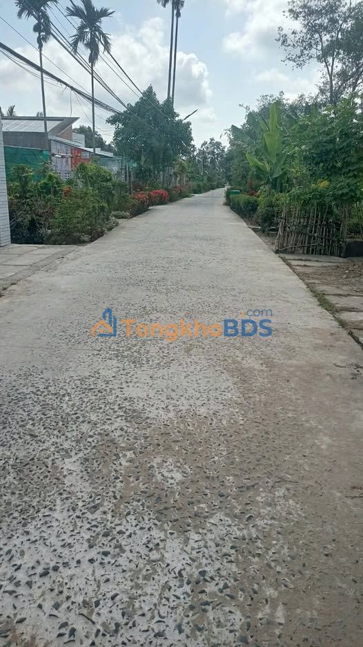 Bán Đất Nền Vị Trí Đắc Địa Phường Ngã Bảy, Hậu Giang - 102m² Sổ Đỏ