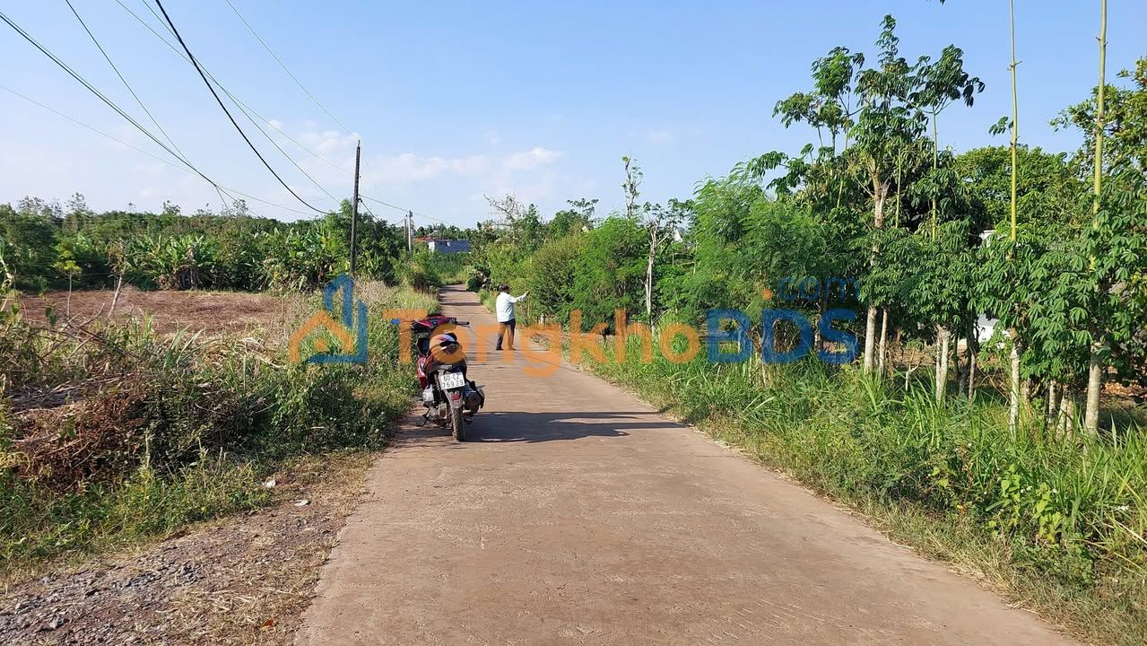 Đất Vàng Đồng Nai 2741m² Sổ Hồng - Tiềm Năng Phân Lô & Nghỉ Dưỡng