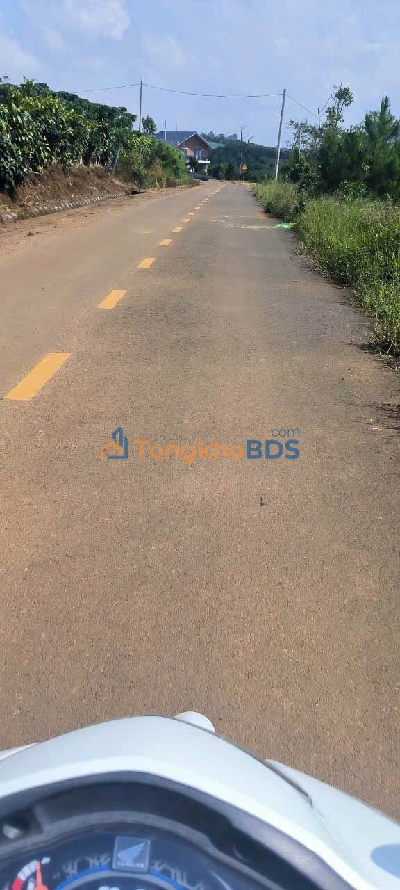 Farm Nguyễn Trãi Bảo Lộc 6.200m² 16 tỷ - Đầu tư dài hạn