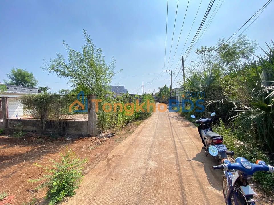 Đất Nền Đồng Nai 500m² Sổ Riêng Giá 470 Triệu - Vị Trí Vàng