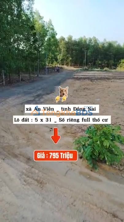 Đất Nền An Viễn, Trảng Bom 155m² Sổ Hồng Full Thổ Cư - Giá 795 Triệu