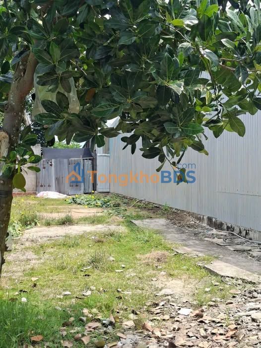 Bán Đất Tân Thành Long An 100m² Sổ Đỏ - Xe Hơi Tới Đất
