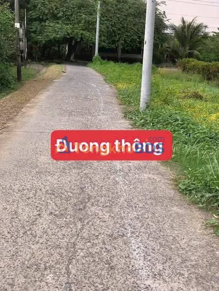 Đất nền Cần Đước 100m² giá 820 triệu - Sổ hồng riêng, xây villa mini được