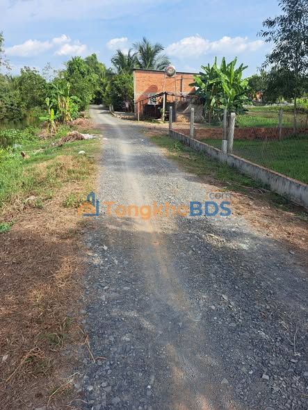 Đất Thổ Cư Đức Hòa 153m² - Hạ Giá Bán Gấp, Sổ Riêng