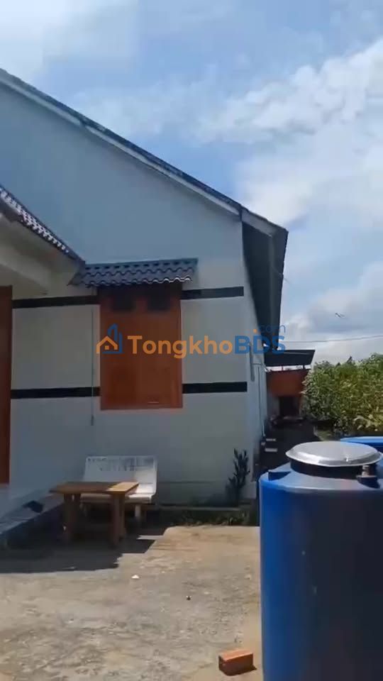 Bán Gấp Farm 11950m² Vĩnh Long - 600 Cây Bưởi Thu Cả Tỷ