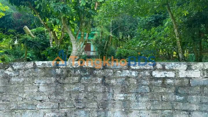 Đất Vườn Thổ Cư Yên Thế 3500m² - Sổ Đỏ Rõ Ràng, Giá Đầu Tư 2.4 Tỷ