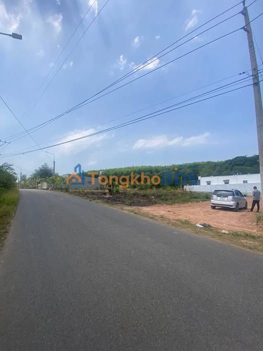 Đất Sổ Hồng Riêng 186m² Mặt Tiền Đường Nhựa 115 Phú Vinh, Đồng Nai - Giá Ngộp 950 Triệu