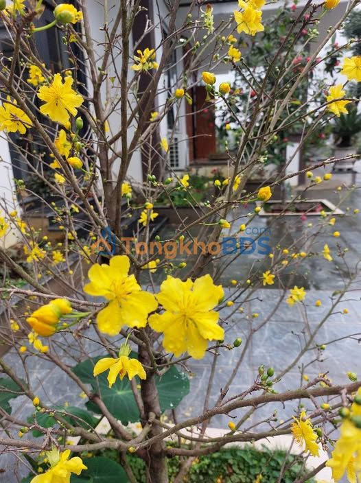 Đất nền Lương Sơn 625m² - Sẵn sàng xây dựng, ô tô vào tận nơi