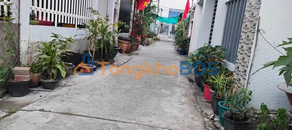 Đất Nền Long Phước Vĩnh Long 101m² - Sổ Đỏ Full Thổ Cư, Giá 850 Triệu