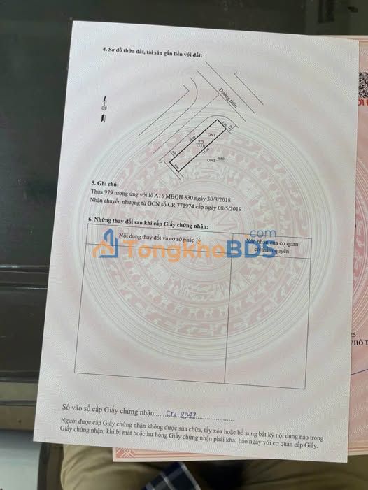 Đất nền Đông Quang Đông Sơn 125m² 1 tỷ - Đường to ô tô