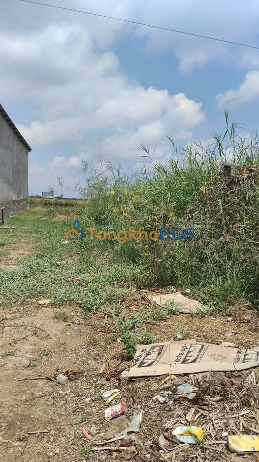 Bán Đất Vườn Cà Mau 525m² - Sổ Hồng Riêng, Giá Tốt