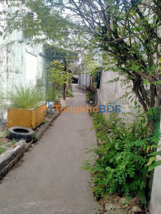 Nhà 52m² Phường 1, Bạc Liêu Giá 1.5 Triệu/Tháng - Gần Siêu Thị GO