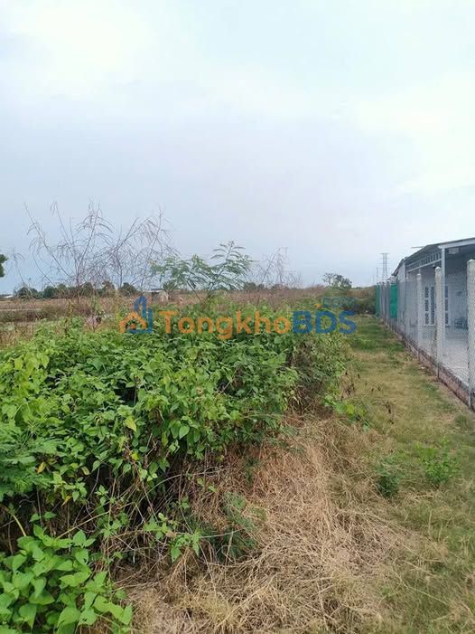 Bán Đất Vườn 1700m² Xã Vĩnh Hậu A, Bạc Liêu - Giá Đầu Tư 450 Triệu