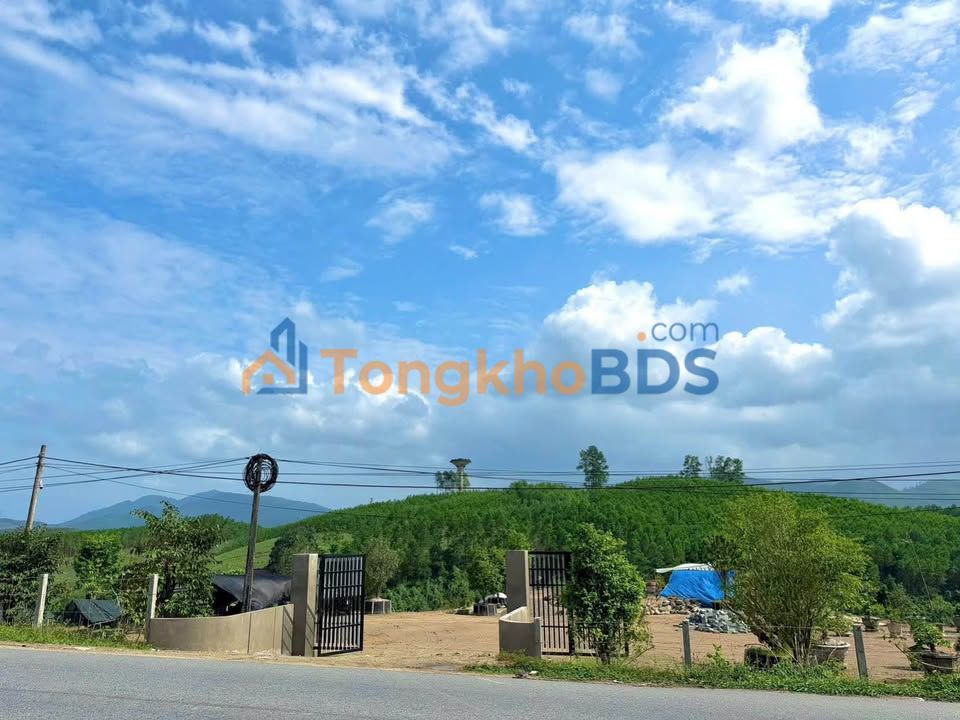 Đất nền QL49A Hương Trà 5.300m² thỏa thuận - Đường to ô tô