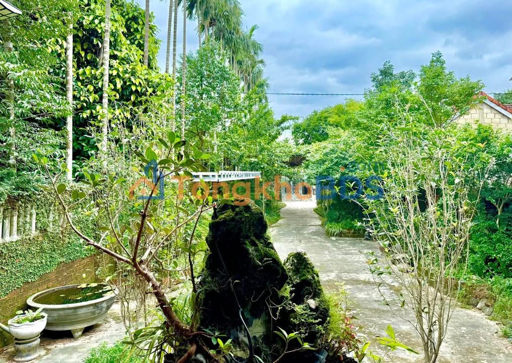 Nhà Vườn Huế 475m² - Kinh doanh Homestay/Du lịch Tâm linh - 4.2 Tỷ