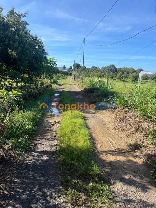 Bán Đất Đà Lạt 3700m² Mặt Tiền Đường Ô Tô - Sổ Riêng