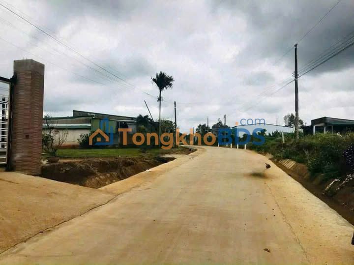 Đất Vườn 4700m² Bảo Lâm - Sổ Đỏ Thổ Cư, Vườn Bơ Sầu Riêng Thu Đậm, Tặng Nhà C4