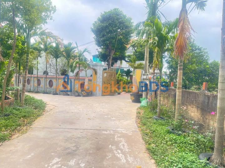 Đất nền Đông Triều 137.2m² - Sổ hồng sẵn, giá đầu tư chỉ vài trăm triệu