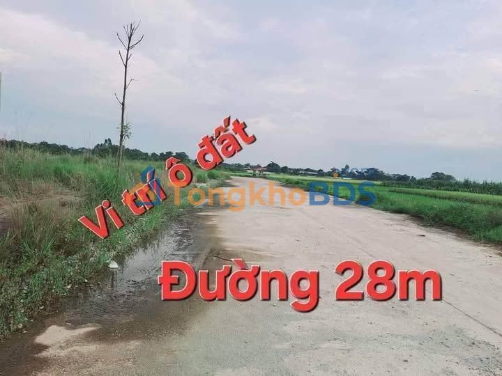 Đất nền Đồng Đống Lâu, Tam Dương - 108m², mặt tiền 6m, view cánh đồng thoáng đãng