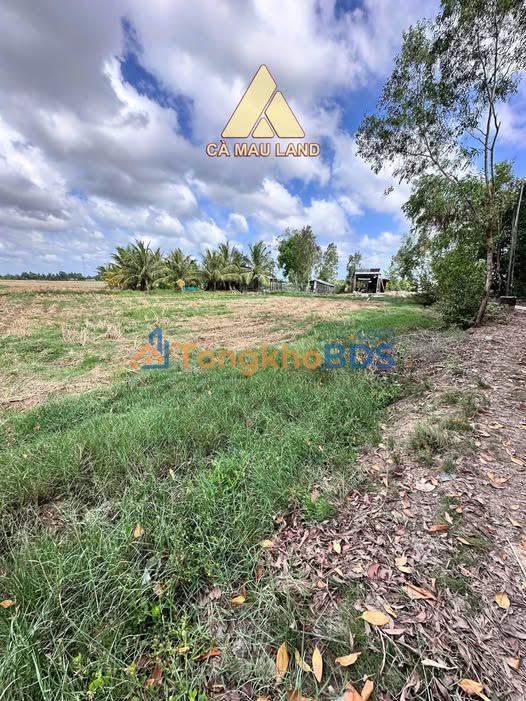 Đất Vườn Mặt Tiền Kênh Lung Dừa Cà Mau - 1.752m² Giá 1.4 Tỷ