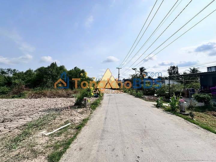 Đất Thổ Cư Mặt Tiền Lộ Ô Tô Cà Mau - 207m² Giá 590 Triệu