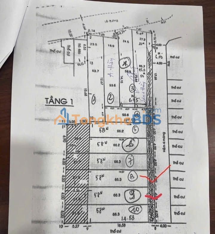 Bán Đất 80m² Phạm Văn Chiêu, Gò Vấp - Vị Trí Vàng Kinh Doanh