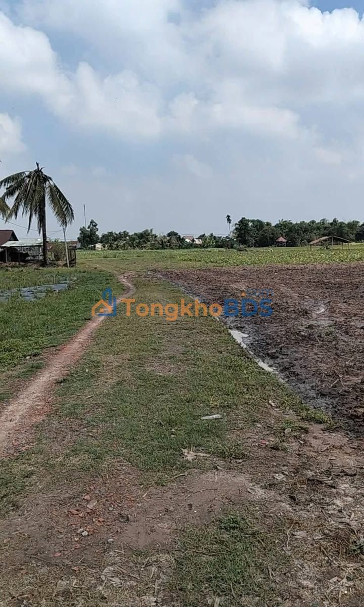 Bán Gấp Đất Vườn 3311m² Mặt Tiền Ô Tô - Lộc Bình, Tây Ninh