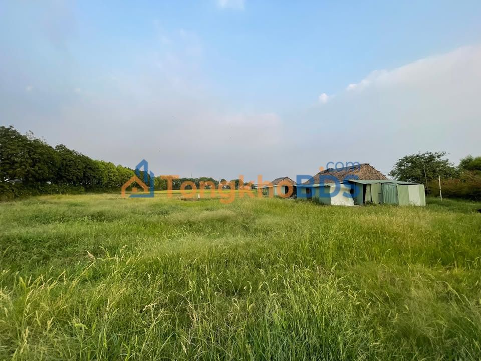 Đất Vườn Hóc Môn 9017m² Sổ Hồng Riêng - Giá Đầu Tư 2.8 Triệu/m²