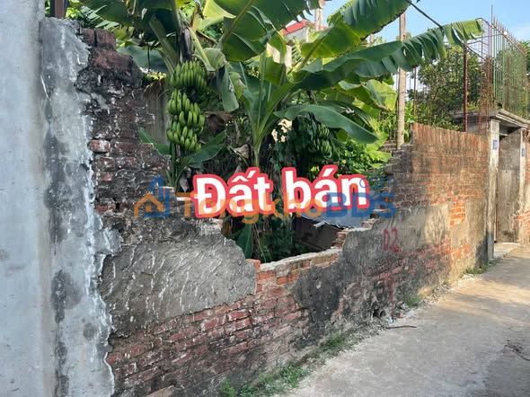 Bán đất Phụng Thượng 90m² - Đường thông, giá tốt, tiện ích đủ