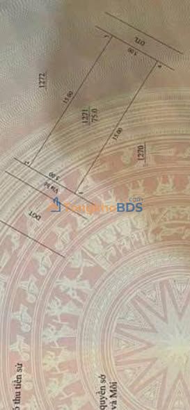 Đất nền Đan Phượng 75m² - Sát Vành Đai 4, Tiềm năng tăng giá