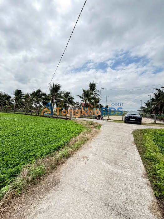 Đất Nền Cát Hanh, Phù Cát - 240m² Gần Trường Nguyễn Hồng Đạo, Giá Chỉ 3xx Triệu