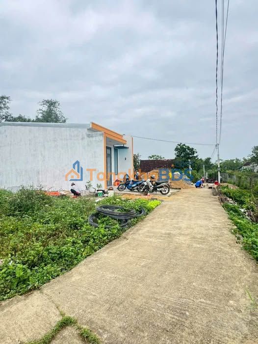 Bán Gấp Đất Nền Phụ Quang, An Nhơn 135m² - Giá 319 Triệu