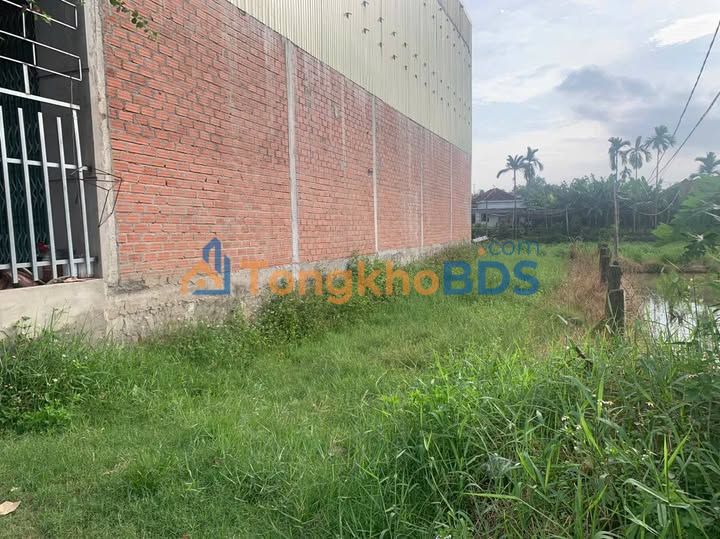 Bán Đất Thổ Cư Tuy Phước 112m² - Sổ Đỏ Sẵn Sàng